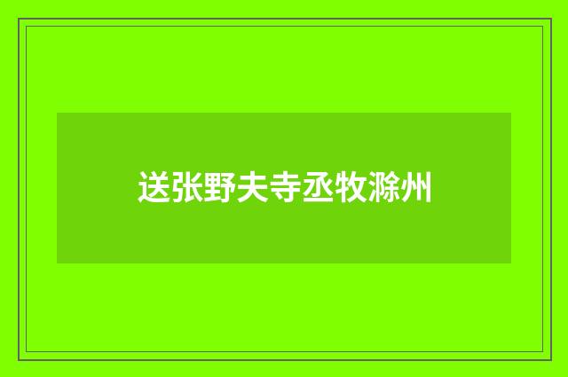 送张野夫寺丞牧滁州