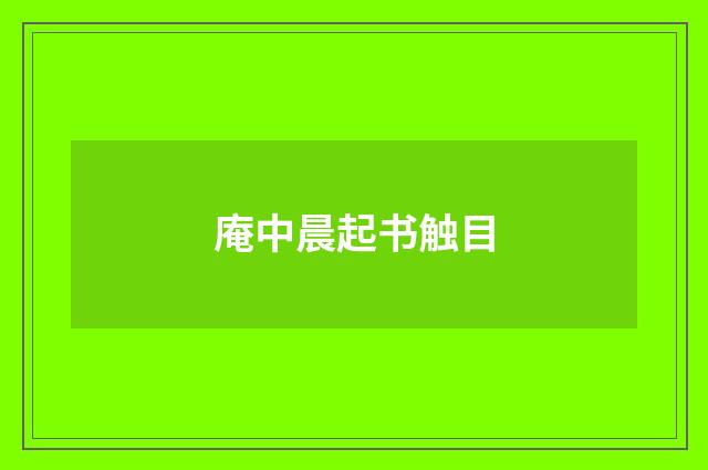 庵中晨起书触目