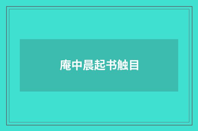 庵中晨起书触目