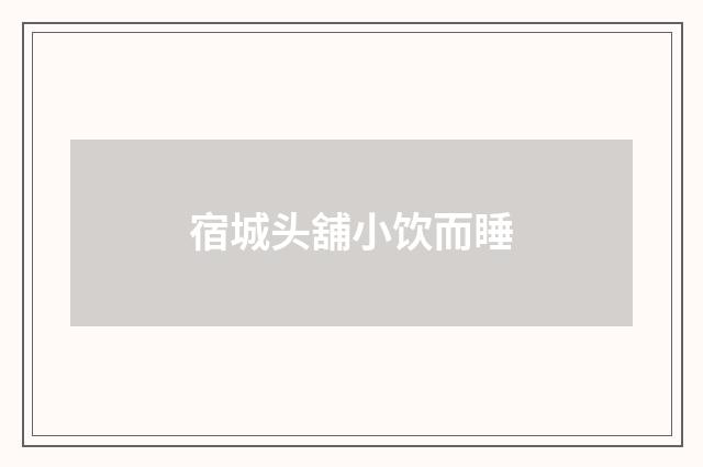 宿城头舖小饮而睡