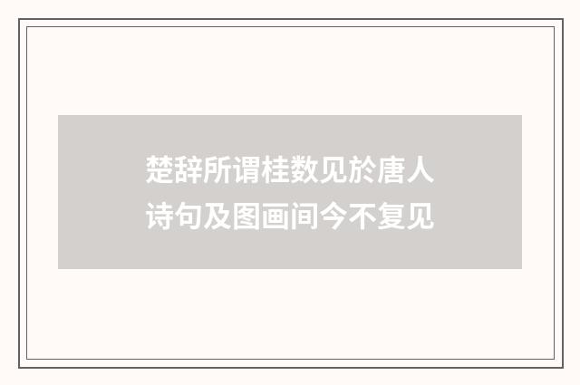 楚辞所谓桂数见於唐人诗句及图画间今不复见