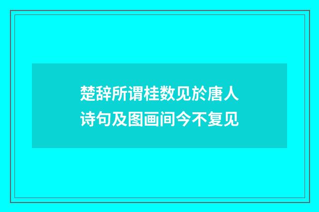 楚辞所谓桂数见於唐人诗句及图画间今不复见