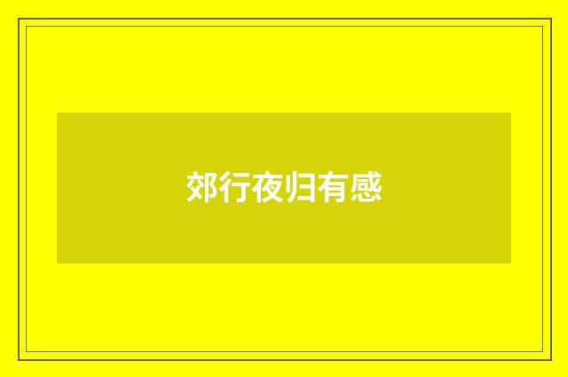 郊行夜归有感