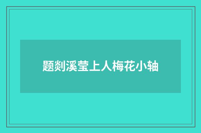 题剡溪莹上人梅花小轴