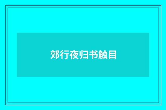 郊行夜归书触目