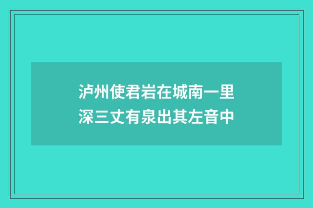 泸州使君岩在城南一里深三丈有泉出其左音中