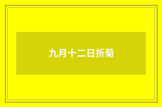 九月十二日折菊