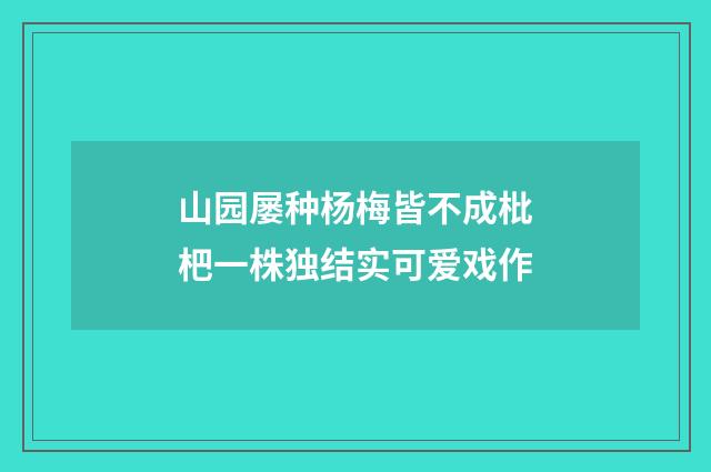 山园屡种杨梅皆不成枇杷一株独结实可爱戏作
