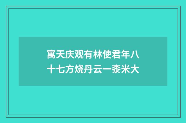 寓天庆观有林使君年八十七方烧丹云一桼米大