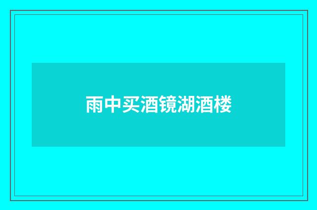 雨中买酒镜湖酒楼