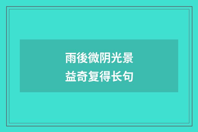 雨後微阴光景益奇复得长句