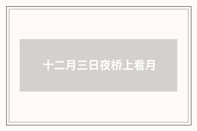 十二月三日夜桥上看月