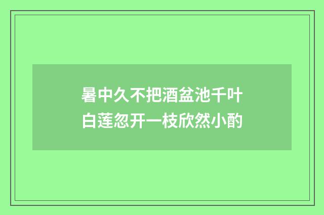 暑中久不把酒盆池千叶白莲忽开一枝欣然小酌