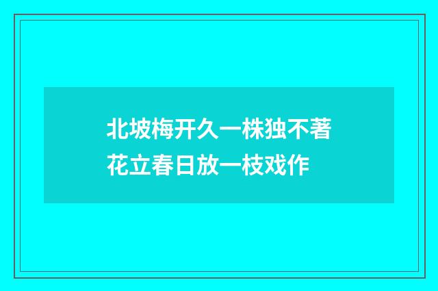 北坡梅开久一株独不著花立春日放一枝戏作