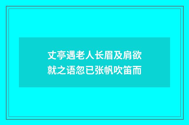 丈亭遇老人长眉及肩欲就之语忽已张帆吹笛而