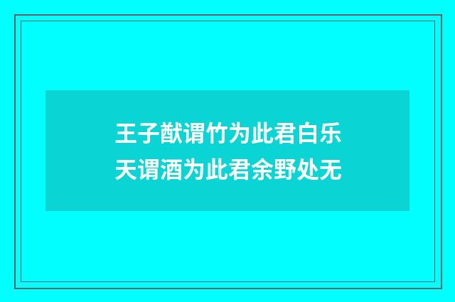 王子猷谓竹为此君白乐天谓酒为此君余野处无