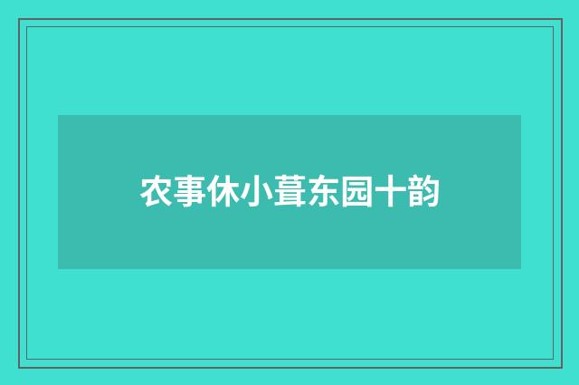 农事休小葺东园十韵