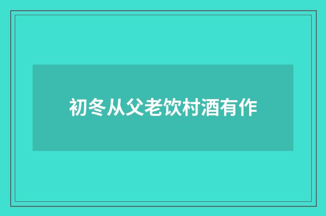 初冬从父老饮村酒有作