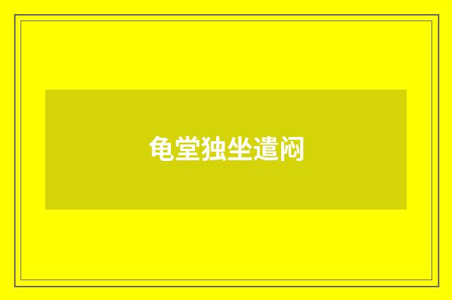 龟堂独坐遣闷