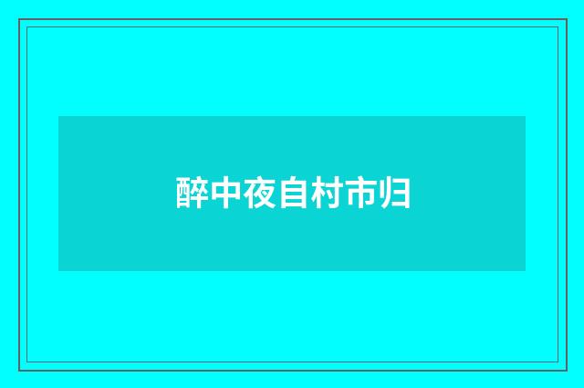 醉中夜自村市归