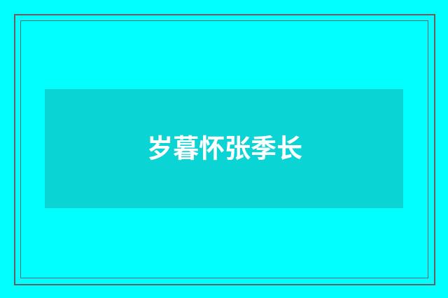 岁暮怀张季长