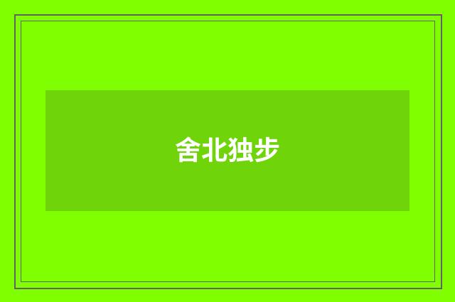 舍北独步