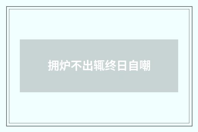 拥炉不出辄终日自嘲