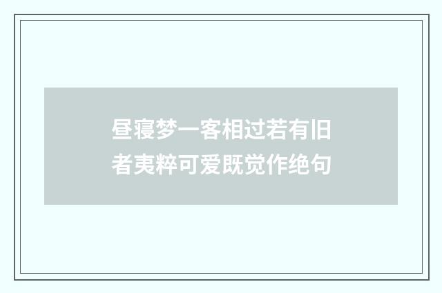 昼寝梦一客相过若有旧者夷粹可爱既觉作绝句