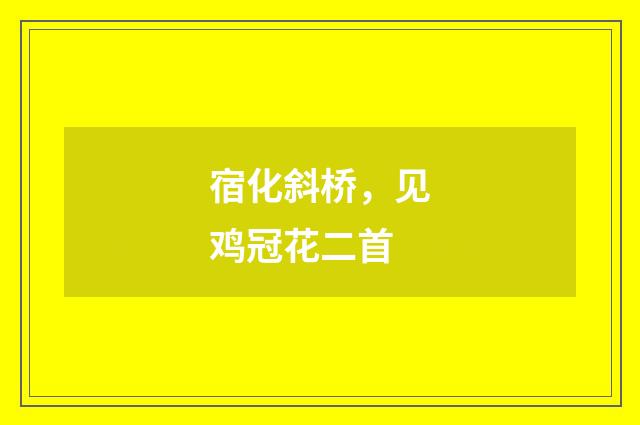 宿化斜桥，见鸡冠花二首
