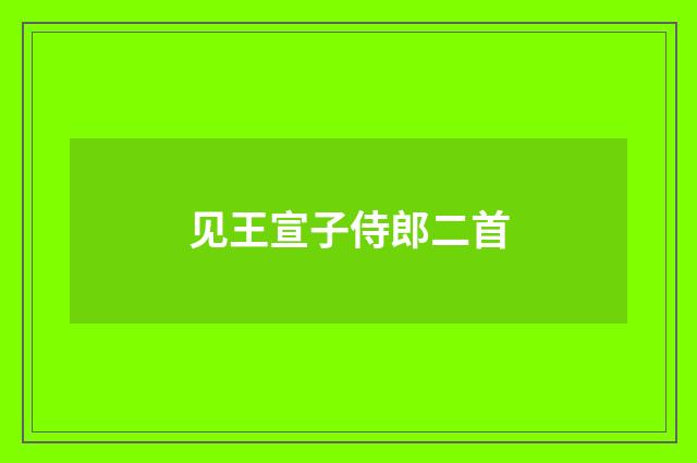 见王宣子侍郎二首