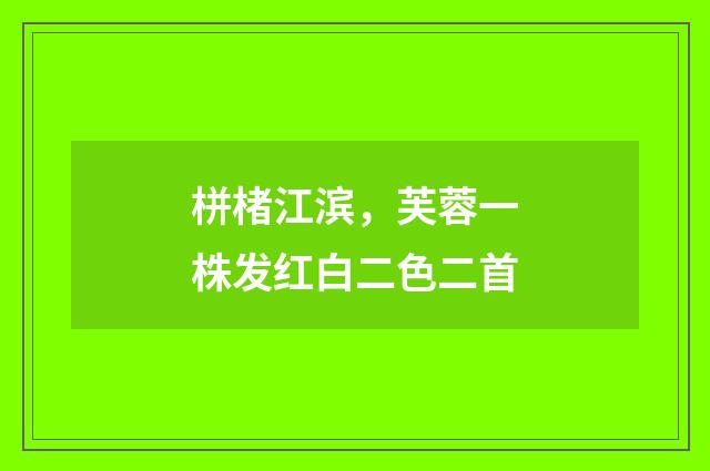 栟楮江滨，芙蓉一株发红白二色二首