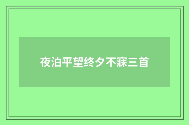 夜泊平望终夕不寐三首