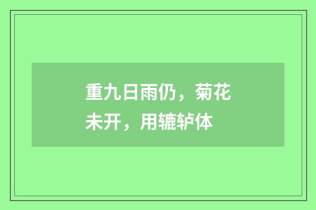 重九日雨仍,菊花未开,用辘轳体