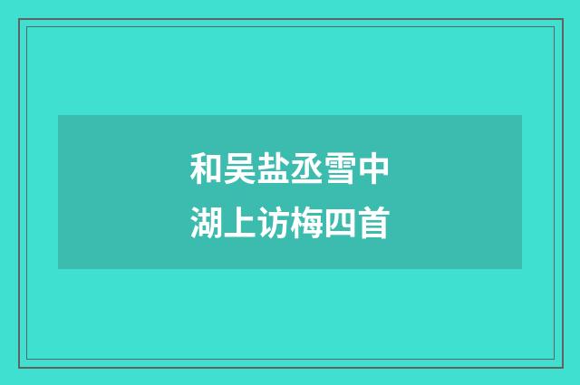 和吴盐丞雪中湖上访梅四首
