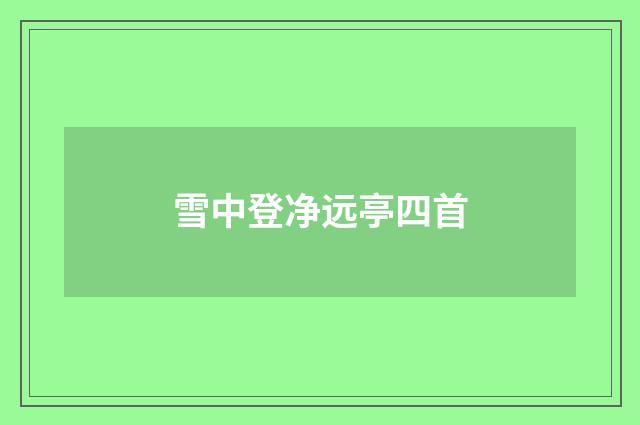 雪中登净远亭四首