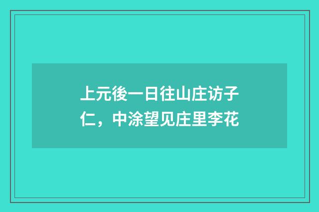 上元後一日往山庄访子仁，中涂望见庄里李花