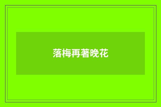 落梅再著晚花