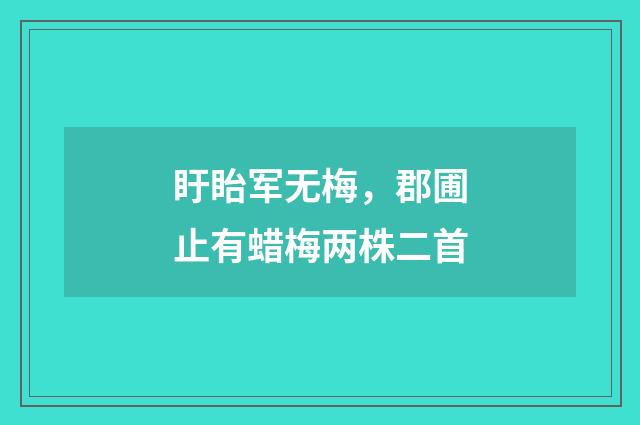 盱眙军无梅，郡圃止有蜡梅两株二首