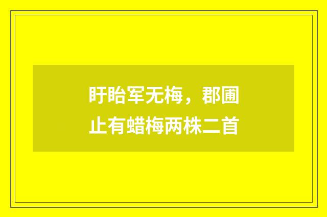 盱眙军无梅，郡圃止有蜡梅两株二首