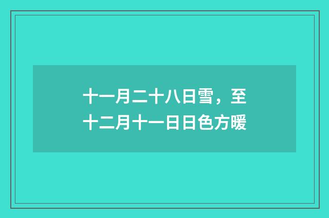 十一月二十八日雪，至十二月十一日日色方暖