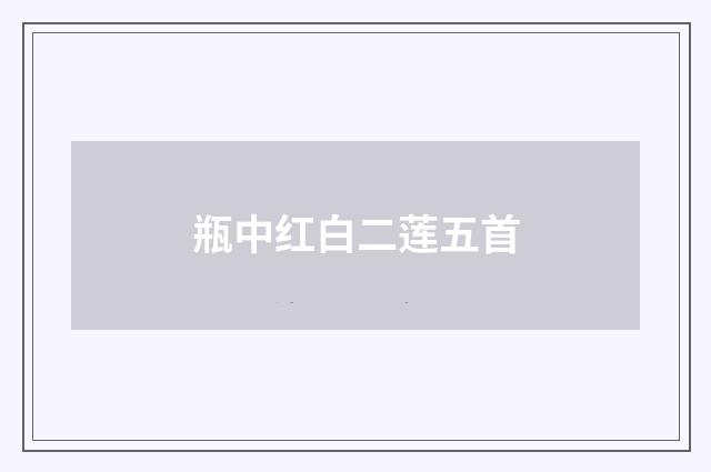 瓶中红白二莲五首