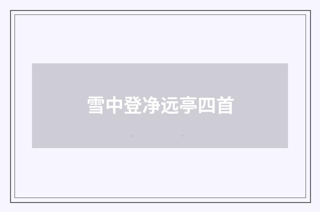 雪中登净远亭四首