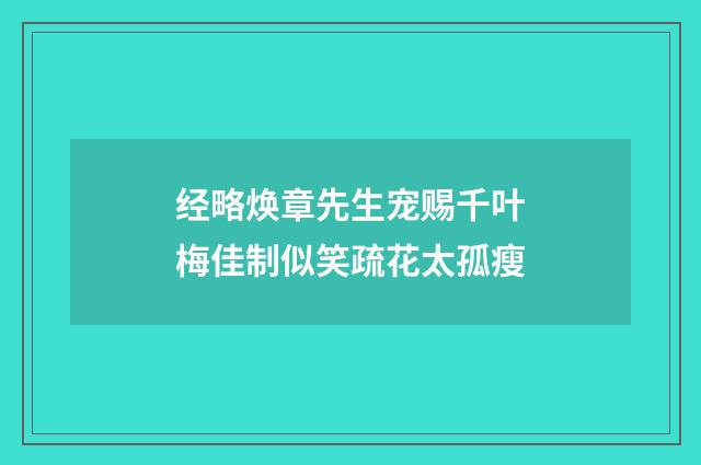 经略焕章先生宠赐千叶梅佳制似笑疏花太孤瘦