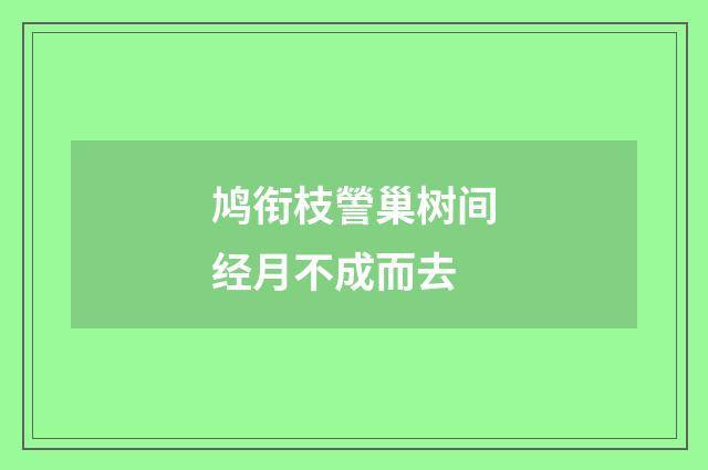 鸠衔枝謍巢树间经月不成而去
