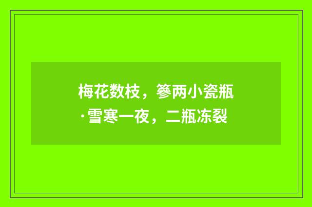 梅花数枝，篸两小瓷瓶·雪寒一夜，二瓶冻裂