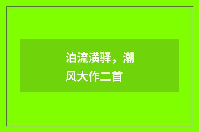 泊流潢驿,潮风大作二首