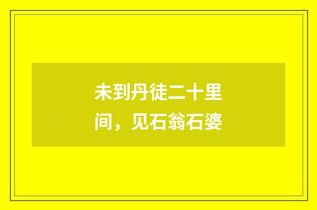 未到丹徒二十里间，见石翁石婆