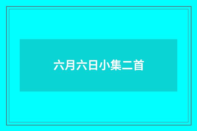 六月六日小集二首