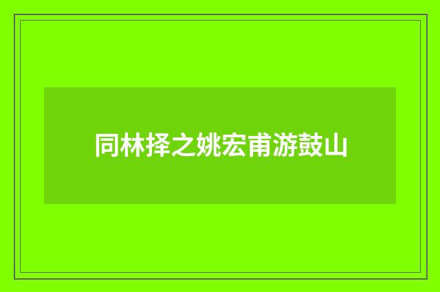 同林择之姚宏甫游鼓山