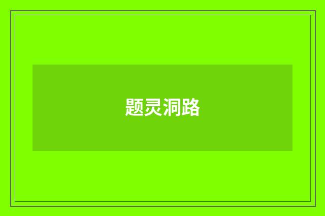 题灵洞路